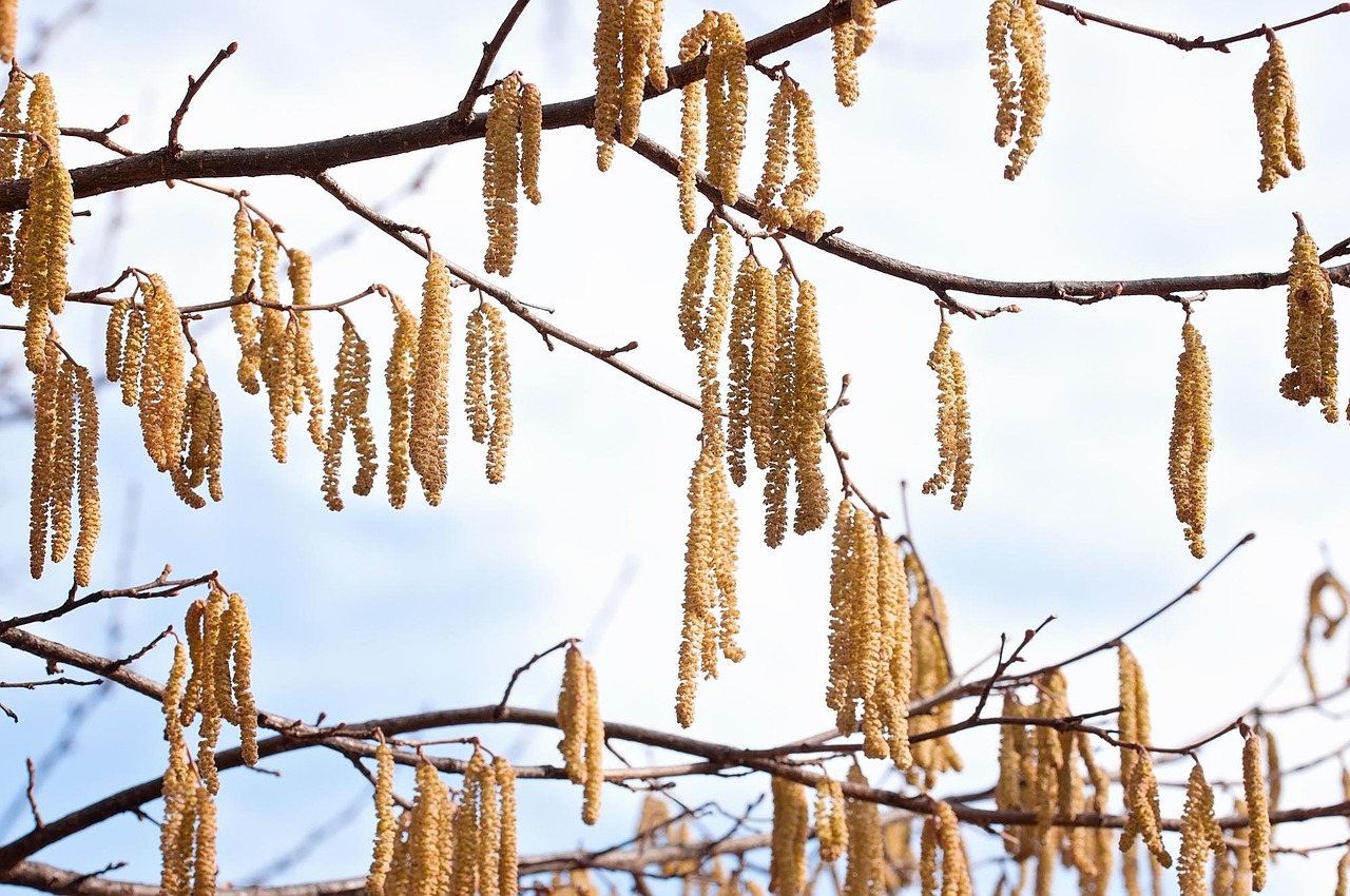 詩のイメージを伝える絵画