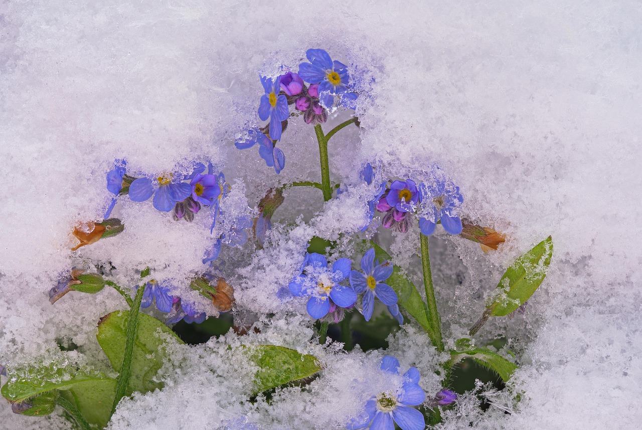 詩のイメージを伝える絵画