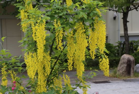 詩のイメージを伝える画像