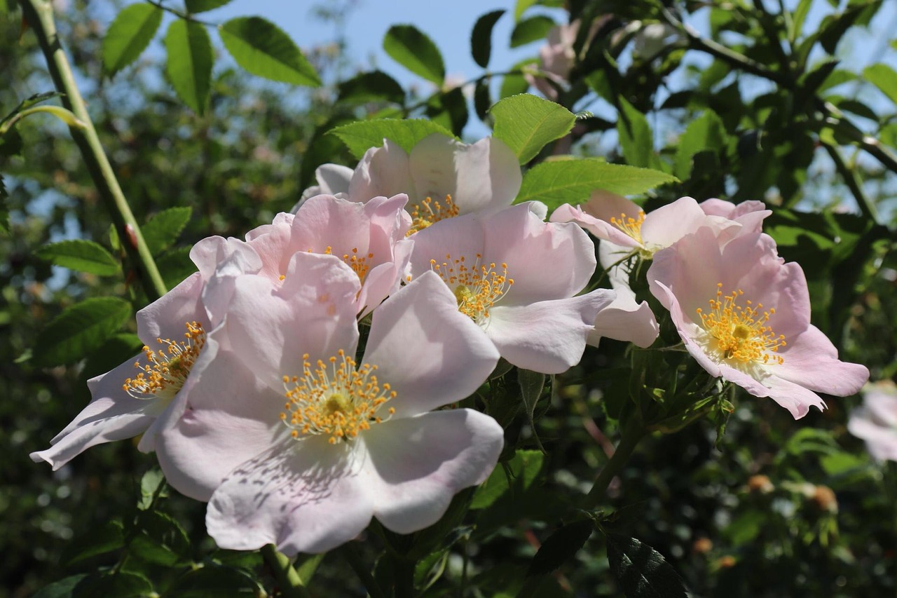 詩のイメージを伝える絵画