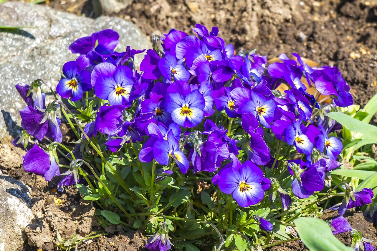 詩のイメージを伝える絵画