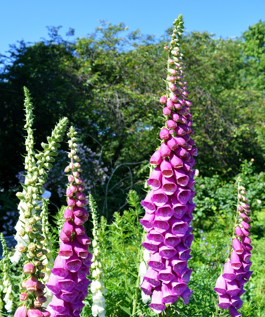 詩のイメージを伝える絵画